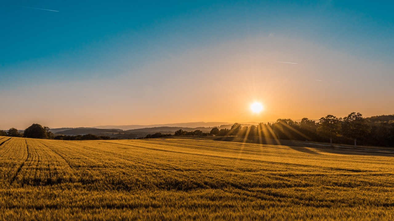 Clent Hills: The Best Views Within Half an Hour of Himley