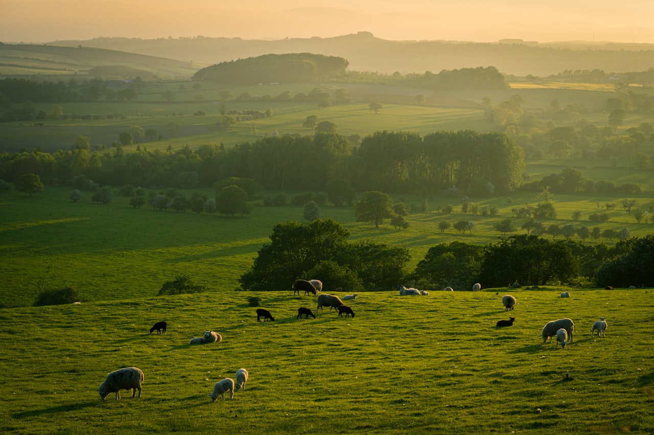 Beyond the Hotel Gates: Exploring the Charms of Himley and the Black Country